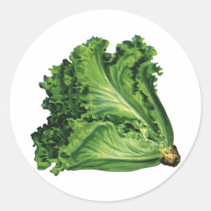 Pegatina Redonda Alimentos Antiguos, Verduras de Lechuga de Hoja Ve
