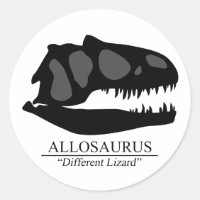 Allosaurus Skull
