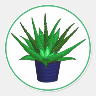Pegatina Redonda Aloe Vera Hand Drawn Houseplant Art
