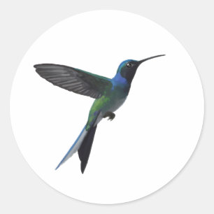 Pegatina Redonda Amante de colibríes