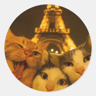 Pegatina Redonda Amante del equipo de selfies de gato nocturno de P