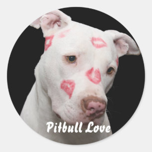 Pegatina Redonda Amante Editable de Pitbull