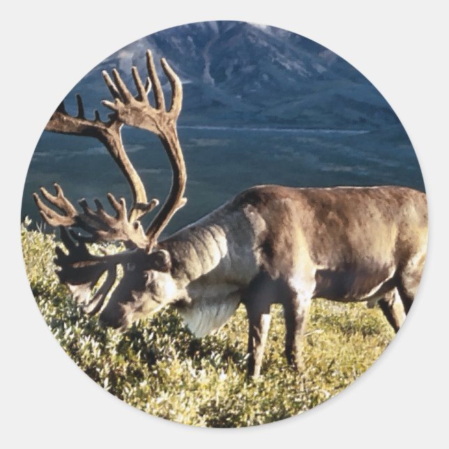 Pegatina Redonda Amantes de los caribúes/renos (Anverso)