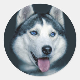 Pegatina Redonda Amar a los Pegatinas Siberianos Husky Perro saludo