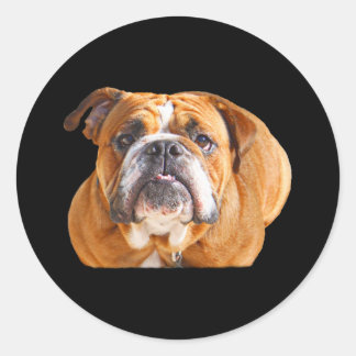 Pegatina Redonda Amar la cara de perro del Bulldog inglés - mascota