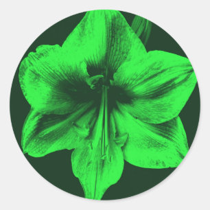 Pegatina Redonda Amaryllis verde