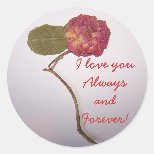 Pegatina Redonda amas a tus pegatinas (Anverso)