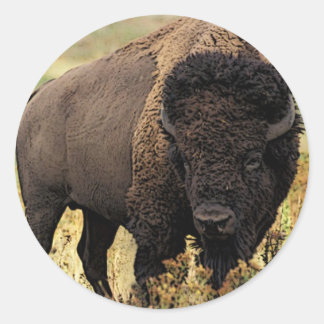Pegatina Redonda American Bison