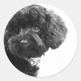 Pegatina Redonda Amigo Adorable