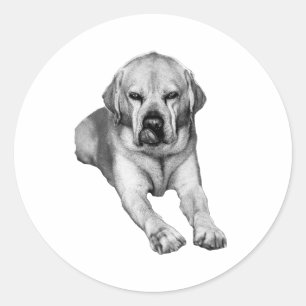 Pegatina Redonda Amigo firme en tinta