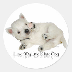 Pegatina Redonda Amo a mi pequeño perro blanco - cachorro Westie