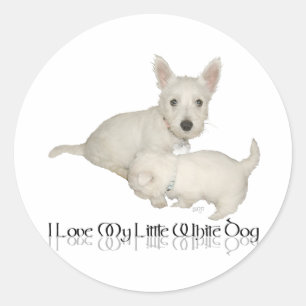 Pegatina Redonda Amo a mi pequeño perro blanco - Cachorros Westie!