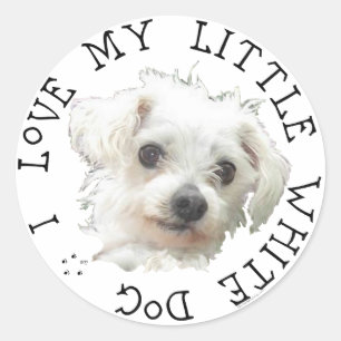 Pegatina Redonda Amo a mi pequeño perro blanco - Maltés
