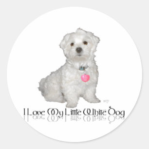 Pegatina Redonda Amo a mi pequeño perro blanco - Maltés !
