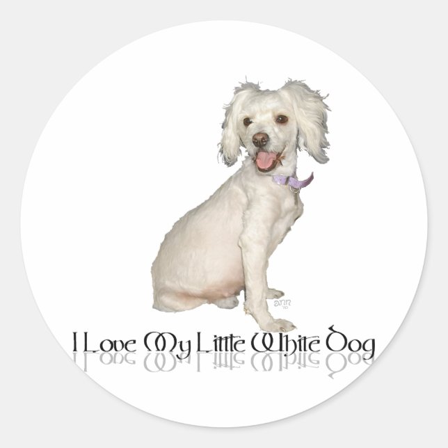 Pegatina Redonda Amo a mi pequeño perro blanco - Poodle / Bichon Mi (Anverso)