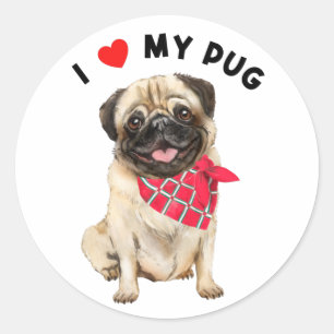 Pegatina Redonda Amo a mi perro picante de pug cuteado con arte de 