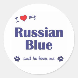 Pegatina Redonda Amo mi azul ruso (el gato masculino)