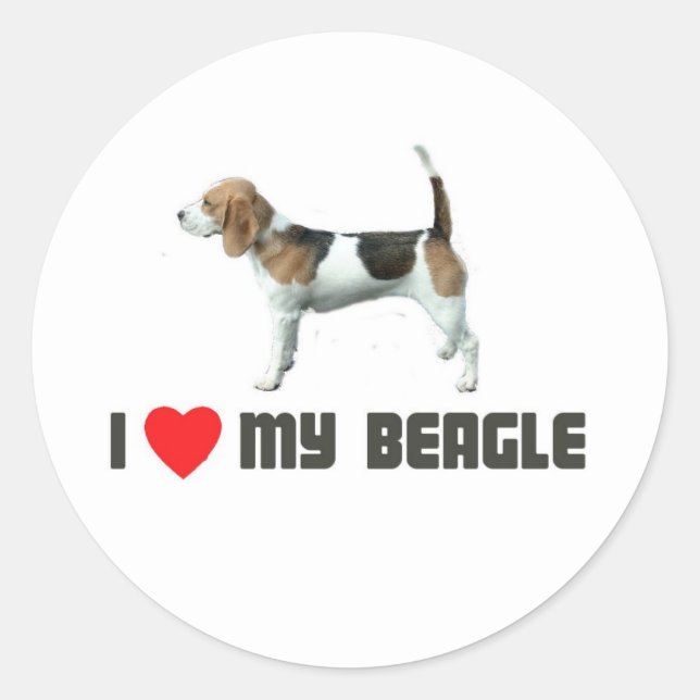 Pegatina Redonda Amo Mi Beagle (Anverso)