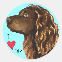 Amo mi Boykin Spaniel
