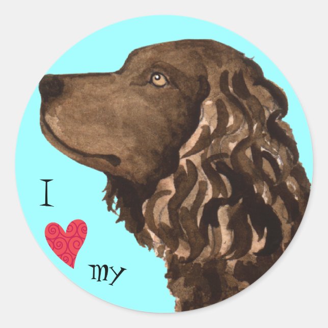 Pegatina Redonda Amo mi español de agua estadounidense (Anverso)