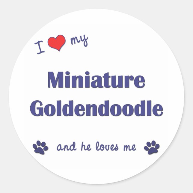 Pegatina Redonda Amo Mi Miniatura Goldendoodle (Perro Masculino) (Anverso)