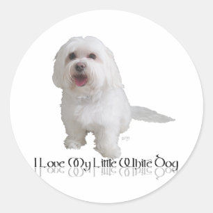 Pegatina Redonda Amo Mi Perro Blanco Pequeño - Habanés