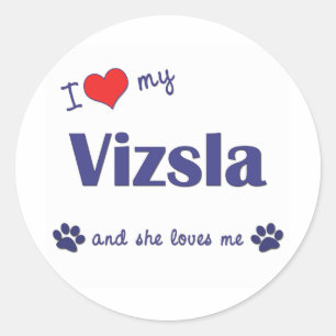 Pegatina Redonda Amo Mi Vizsla (Perro Femenino)