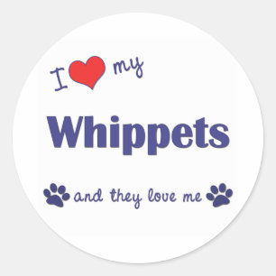 Pegatina Redonda Amo mi Whippets (los perros múltiples)