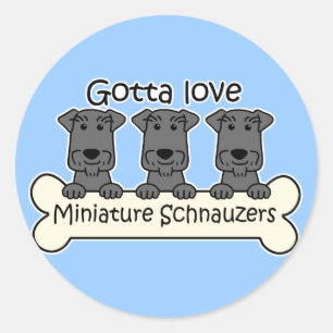 Pegatina Redonda Amo Schnauzers miniatura
