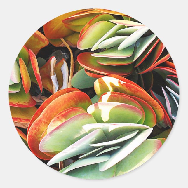 Pegatina Redonda Amor_ (Anverso)