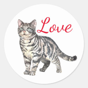 Pegatina Redonda Amor de gato adorable tigre gatito Kitty pensando
