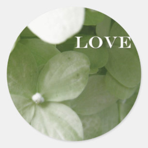 Pegatina Redonda amor hidrangea
