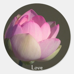 Pegatina Redonda Amor Lotus