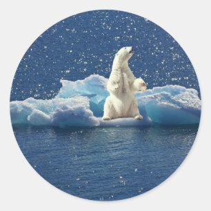 Pegatina Redonda Añadir SLOGAN para salvar el hielo polar del plane