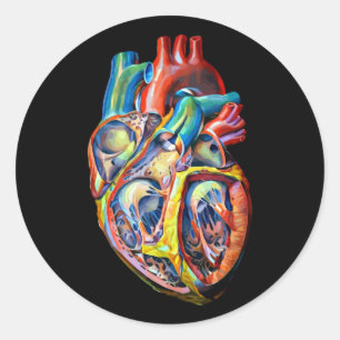 Pegatina Redonda anatomía arte abstracto colorido corazón humano