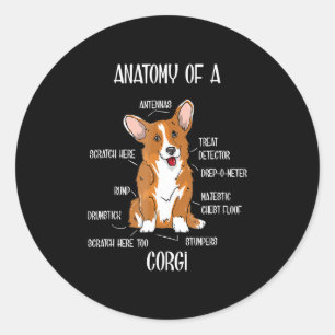 Pegatina Redonda Anatomía de perro , Regalo de biología de Corgi 
