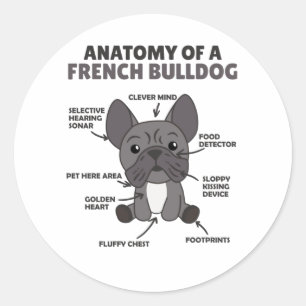 Pegatina Redonda Anatomía De Un Bulldog Francés Perro Gracioso Cach