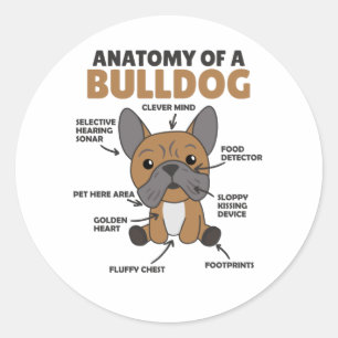 Pegatina Redonda Anatomía De Un Bulldog Perro Gracioso Cachorro