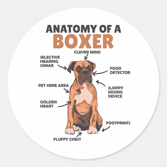Pegatina Redonda Anatomía De Un Cachorro De Perro Dulce Boxer (Anverso)