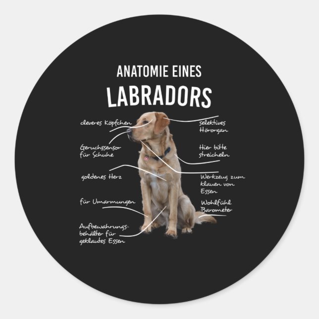 Pegatina Redonda Anatomía De Un Divertido Perro Recuperador De Labr (Anverso)