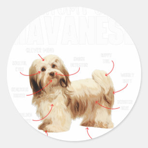 Pegatina Redonda Anatomía De Un Havaneser Havanezer Cubano-Havanese