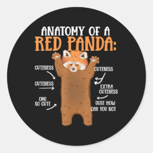 Pegatina Redonda Anatomía De Un Panda Rojo Científico Zoólogo Panda
