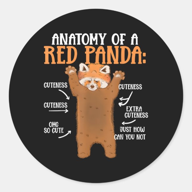 Pegatina Redonda Anatomía De Un Panda Rojo Científico Zoólogo Panda (Anverso)