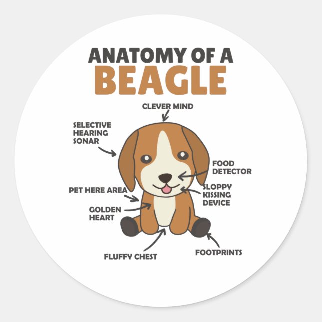 Pegatina Redonda Anatomía De Un Perro Beagle Cute Cachorro (Anverso)