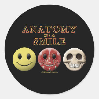 Pegatina Redonda Anatomía de una sonrisa