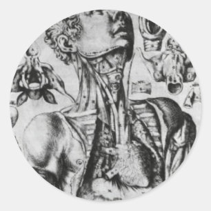 Pegatina Redonda anatomía del sistema respiratorio