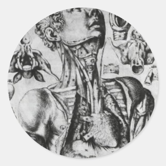Pegatina Redonda anatomía del sistema respiratorio (Anverso)