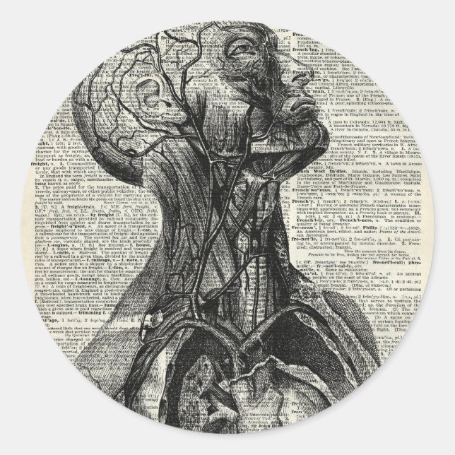 Pegatina Redonda Anatomía humana médica (Anverso)