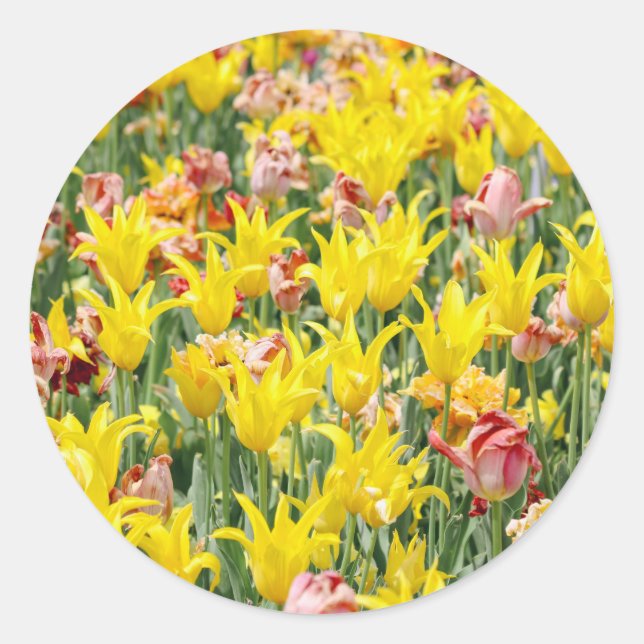 Pegatina Redonda And Life Goes On  (Anverso)