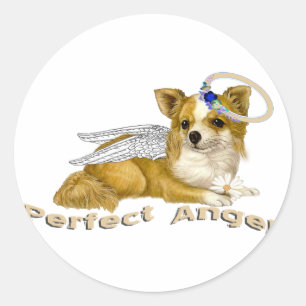 Pegatina Redonda Ángel perfecto de la chihuahua